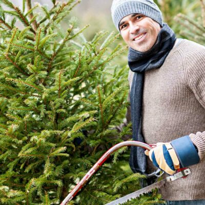 Mann fällt einen Tannenbaum