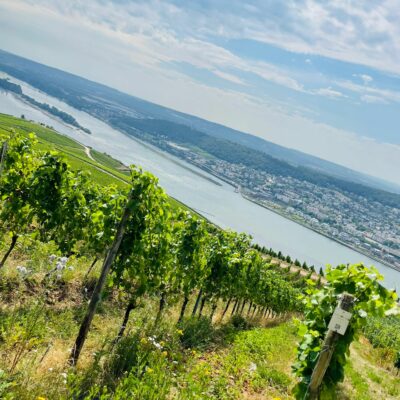 Weinwanderung Rüdesheim