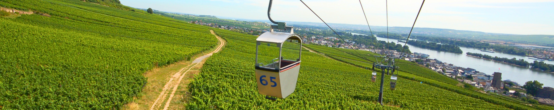 Seilbahnfahrt bei Weinwanderung Rüdesheim