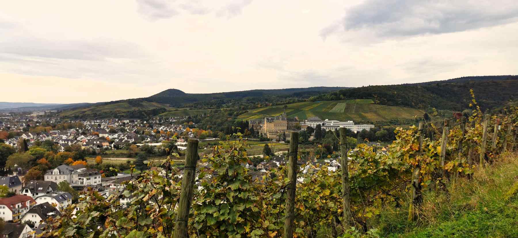 Aussicht von den Weinbergen auf Walporzheim