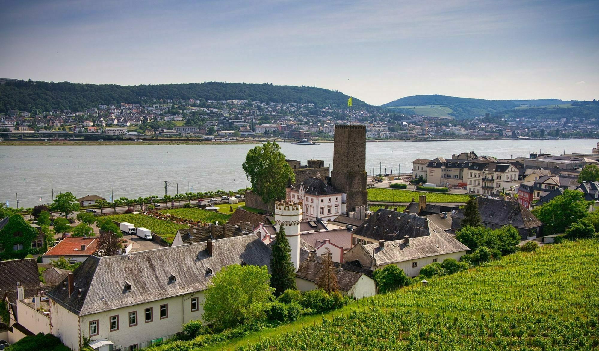 Blick auf Rheingau