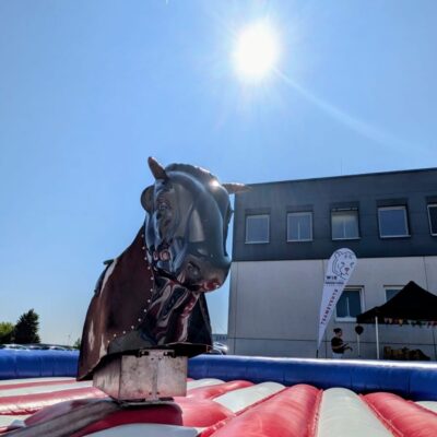 Highland Games Bullriding
