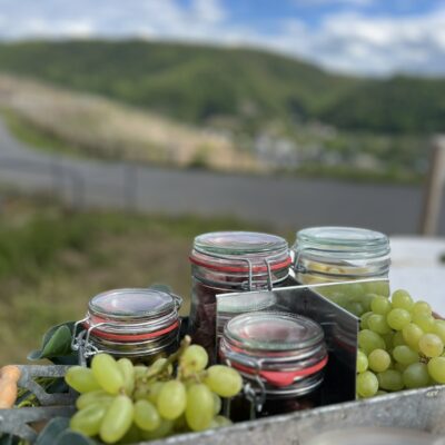 Weinwanderung Picknick Trauben + Oliven