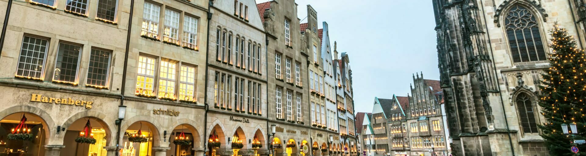 Münster Giebelhäuser und Tannenbaum