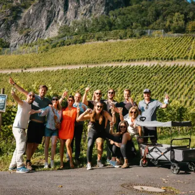 Weinwanderung+Siebengebirge