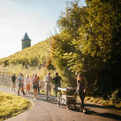 Weinwanderung