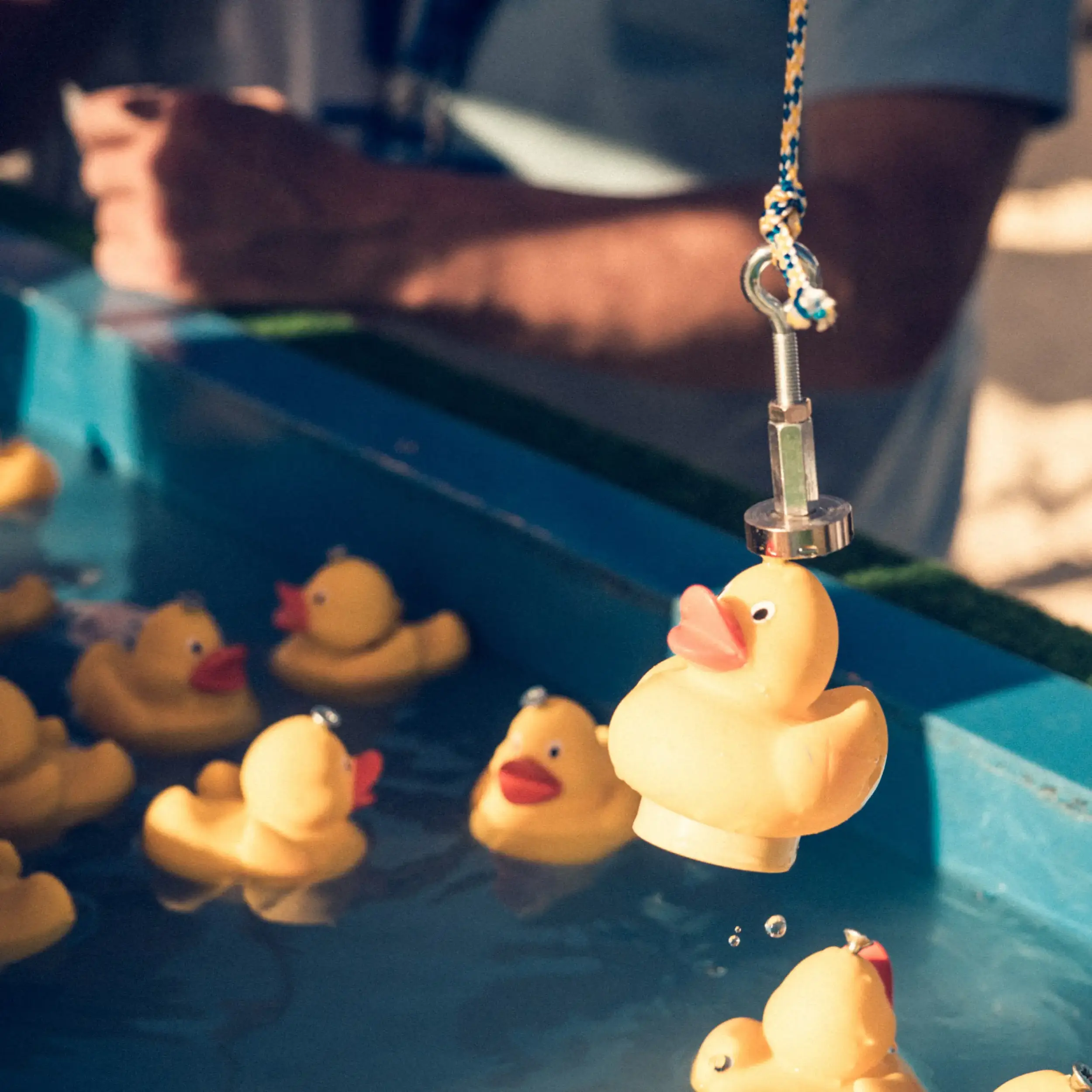 Jahrmarkt Herzbluttiger