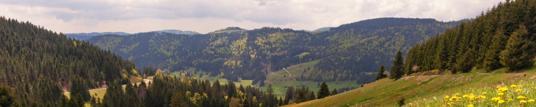 Schwarzwald Panoramablick