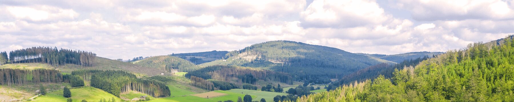 Panoramabild Sauerland Natur mit Gebirge im Hintergrund