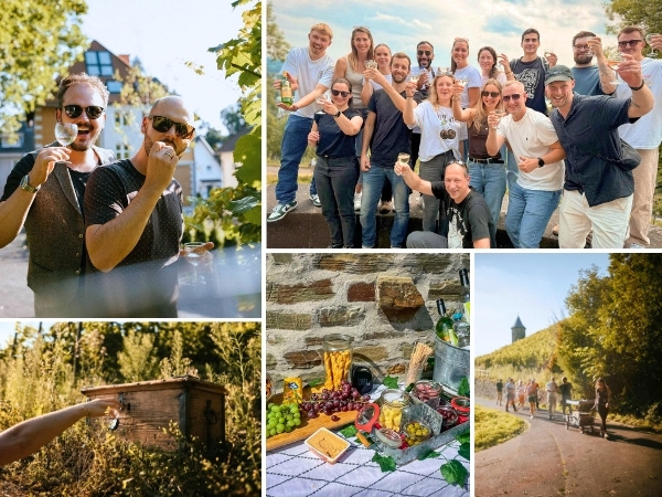 Collage aus Bildern von Weinwanderungen in Bad Honnef