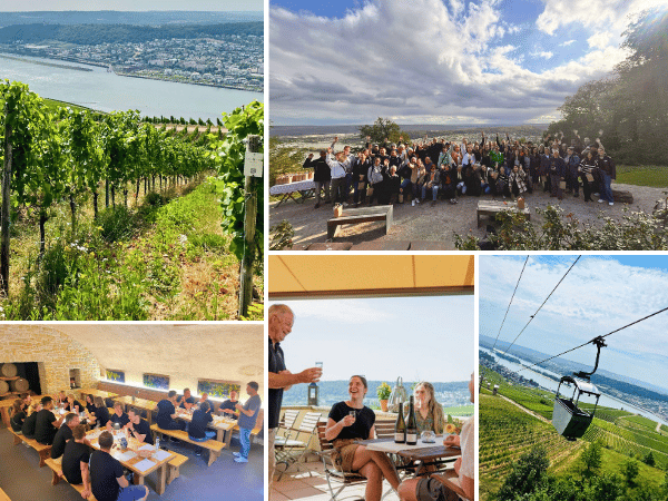 Feedback Collage Weinwanderung Rüdesheim