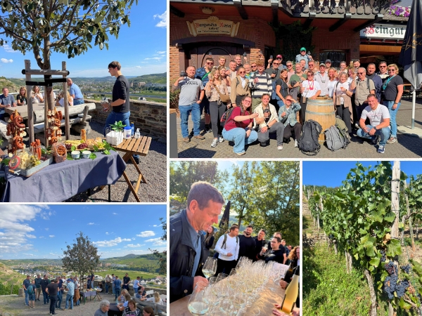Collage mit Eindrücken einer Weinwanderung in Ahrweiler